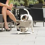 Parkhotel