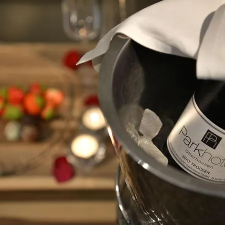 Hotel Parkhotel Oberhausen 4*